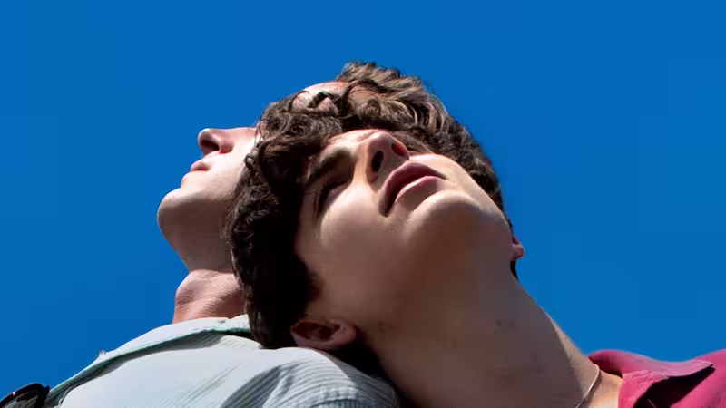 君の名前で僕を呼んでのティモシー・シャラメ