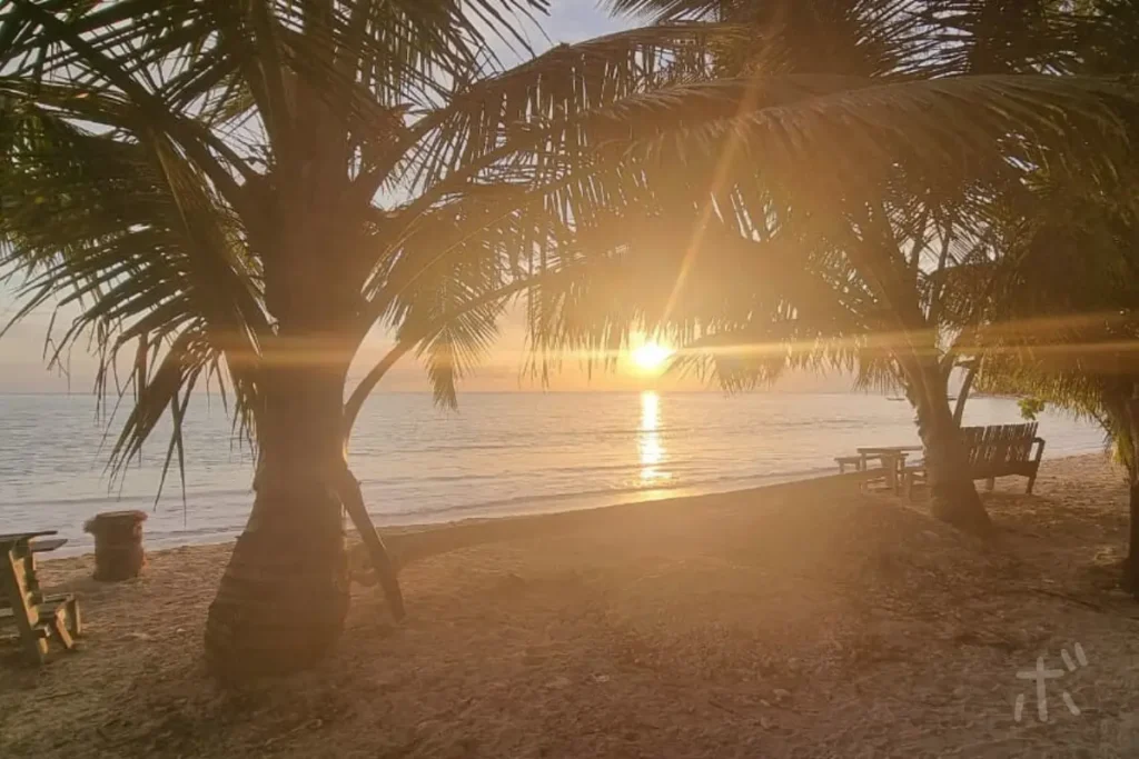 The Mentawai Islands, seen through palm trees, with the calm evening sea and a setting sun