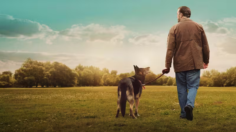 アフター・ライフ冬に観たいドラマ