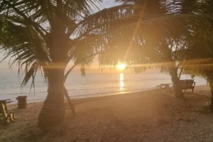 ヤシの木の間から見える、メンタワイ諸島の穏やかな夕暮れの海と沈みゆく太陽