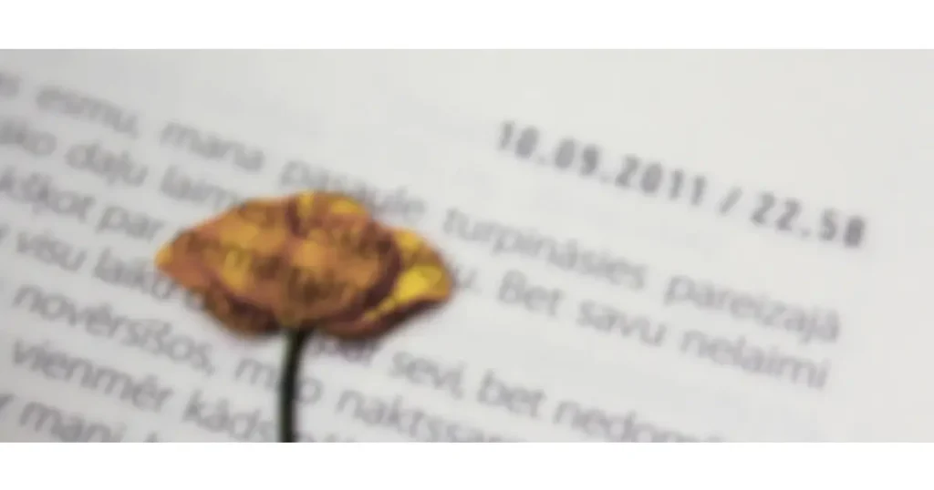 言葉が人生に追いつく瞬間を象徴する、ページの上に置かれた一輪の花