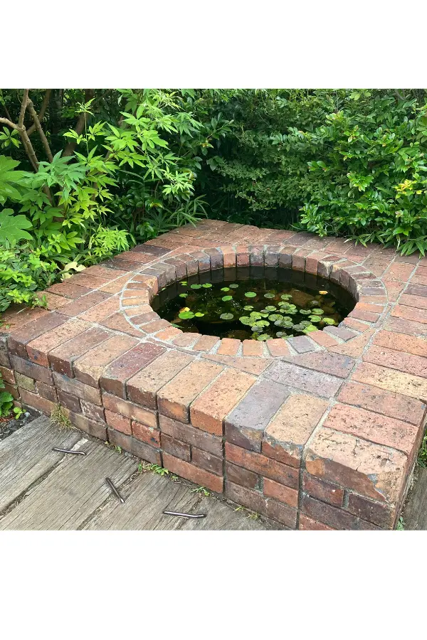A small circular pond surrounded by bricks. Water lilies floating on the surface of the water and the surrounding greenery create a tranquil scene.