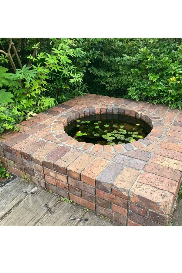 レンガで囲まれた小さな円形の池。水面に浮かぶ睡蓮と、周囲を包む緑が静かな時間をつくっている風景。