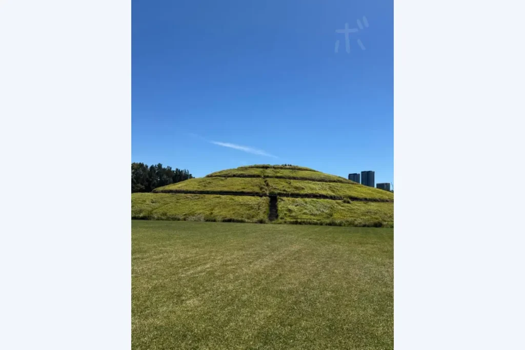 Landscape of grassy hills and straight paths under a blue sky