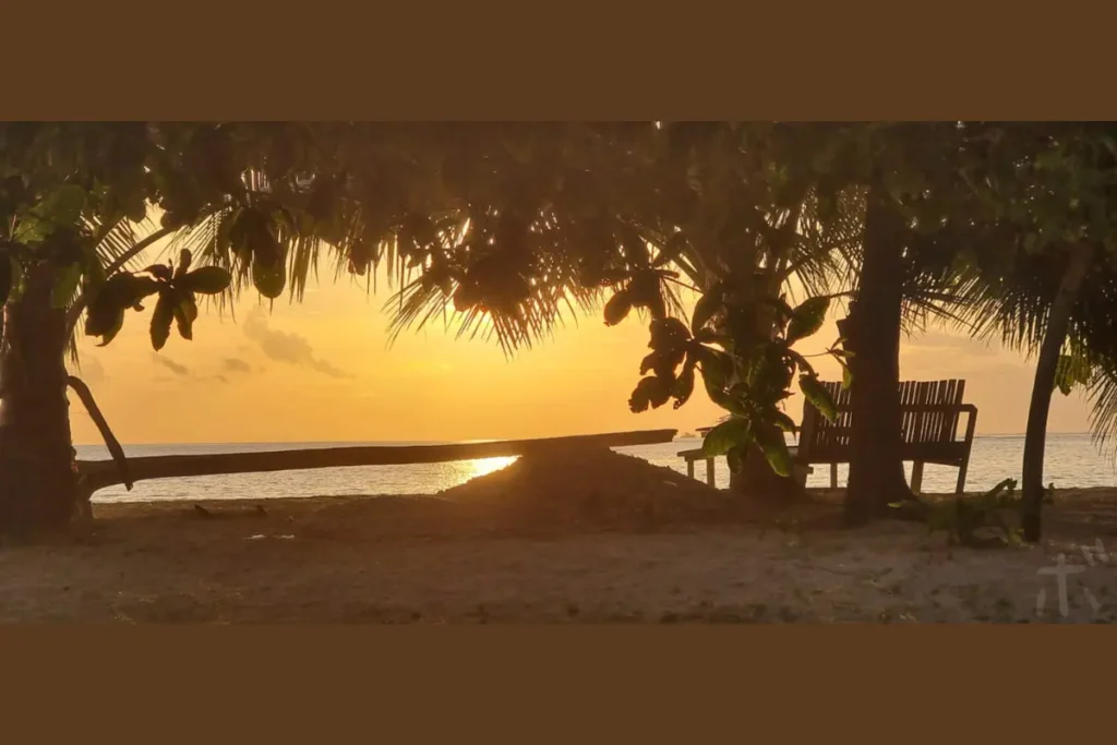 On the beach, surrounded by shady trees, time passes quietly waiting for the sun to set.
