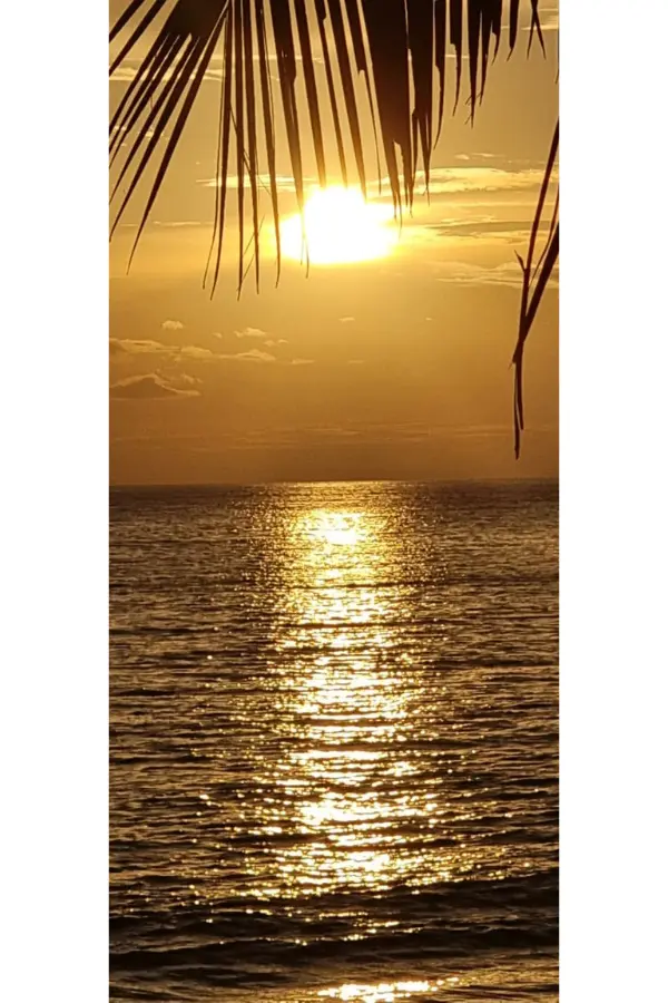 夕暮れの海に、太陽の光がまっすぐ一本の道のように伸びている。