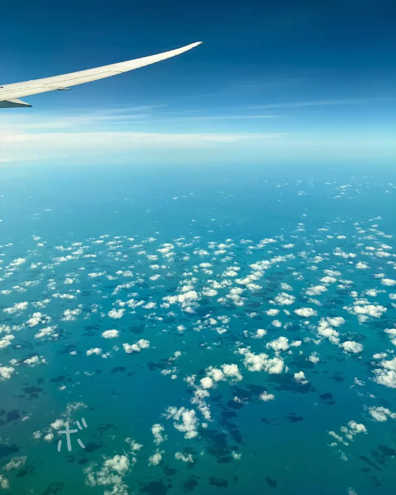 飛行機の窓から見える翼と、青い海の上に広がる白い雲