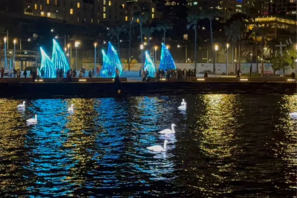 Blue light objects and swans on the water