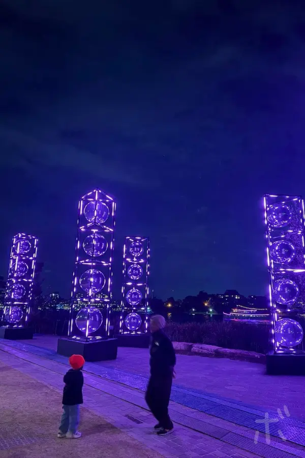 Back view of a child gazing at the lights at night