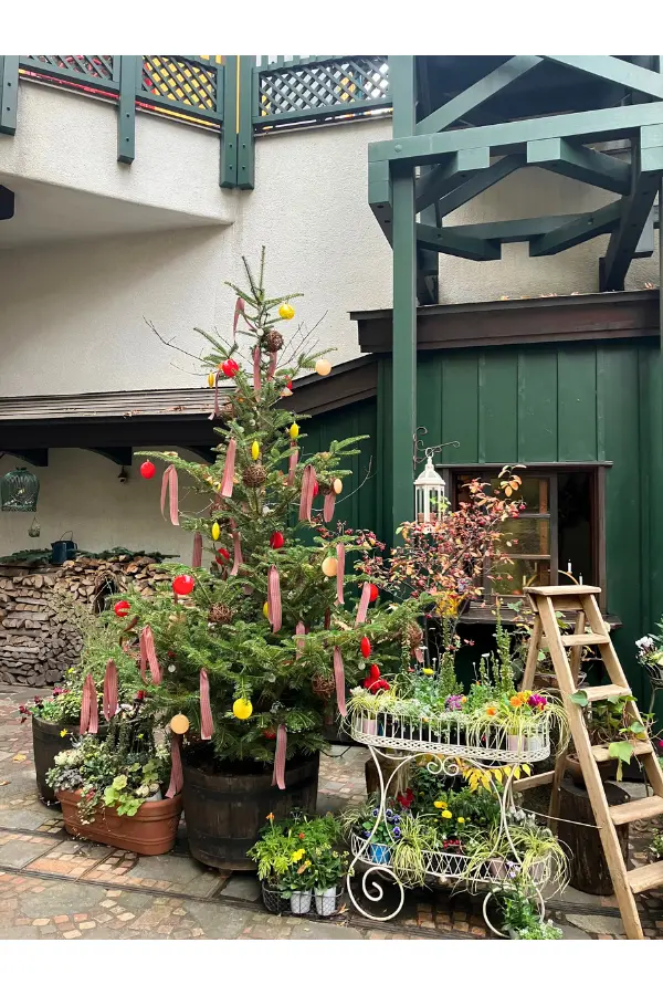 Plants and a small tree decorated in the courtyard of the Ghibli Museum