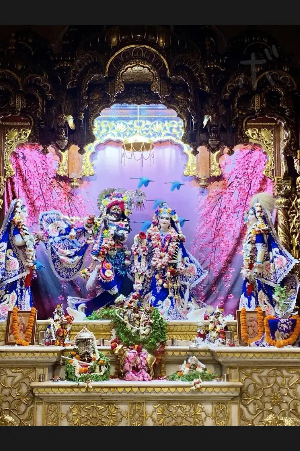 View of the altar of an ISKCON temple surrounded by colorful decorations and flowers