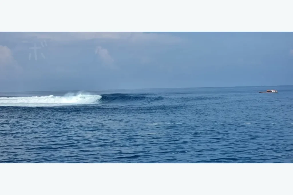 どこまでも続く水平線とゆったりとうねる海
