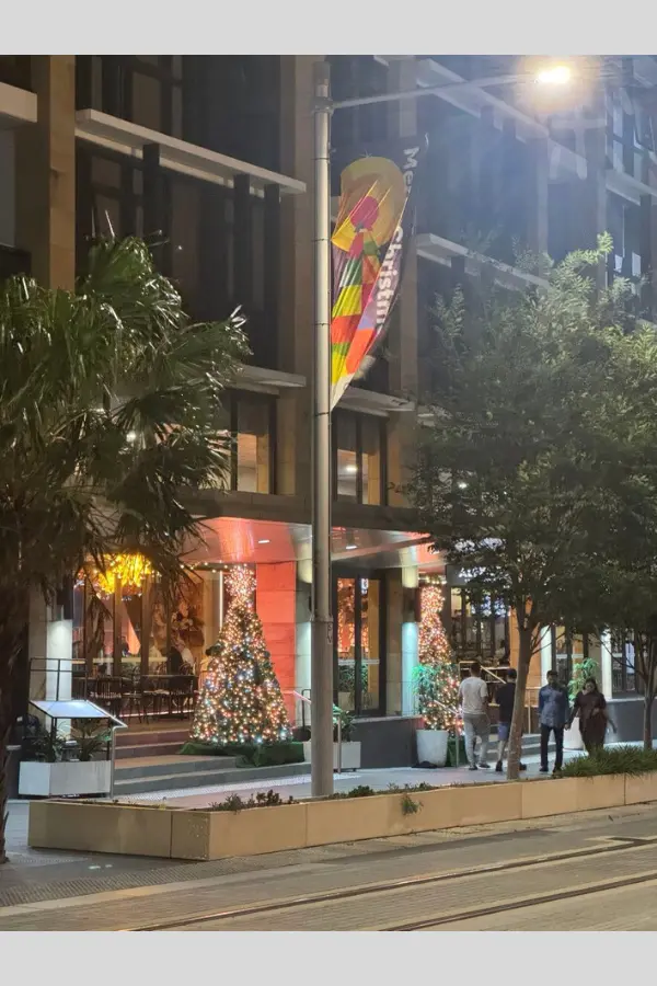 A view of the streets of Parramatta at night, with the lights of the buildings and the street trees gently illuminating the street.