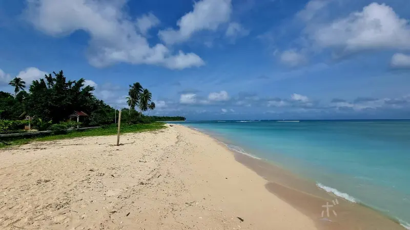 真っ青な空と海が広がる夏のビーチ