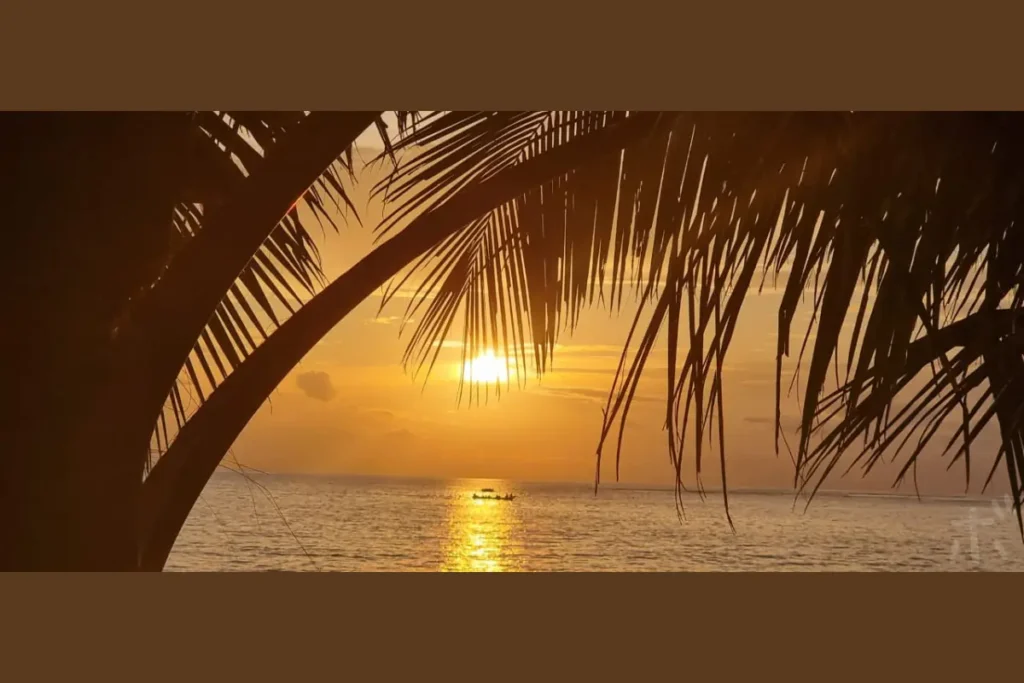 The setting sun, setting over the palm fronds, is turning the quiet sea a golden color.