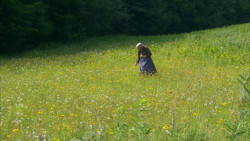 映画『ターシャ・テューダー 静かな水の物語』自然と庭の暮らしを描くドキュメンタリー