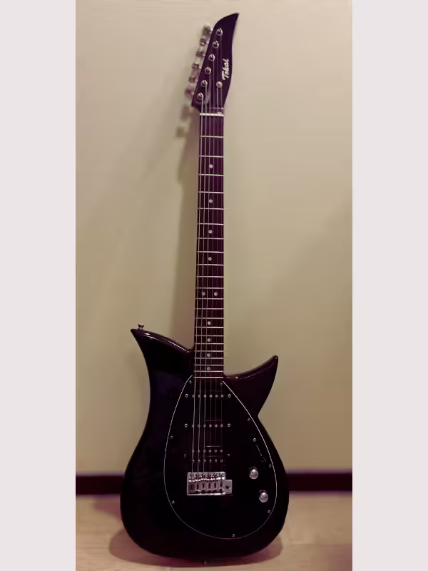Tokai Talbo Woodyの画像