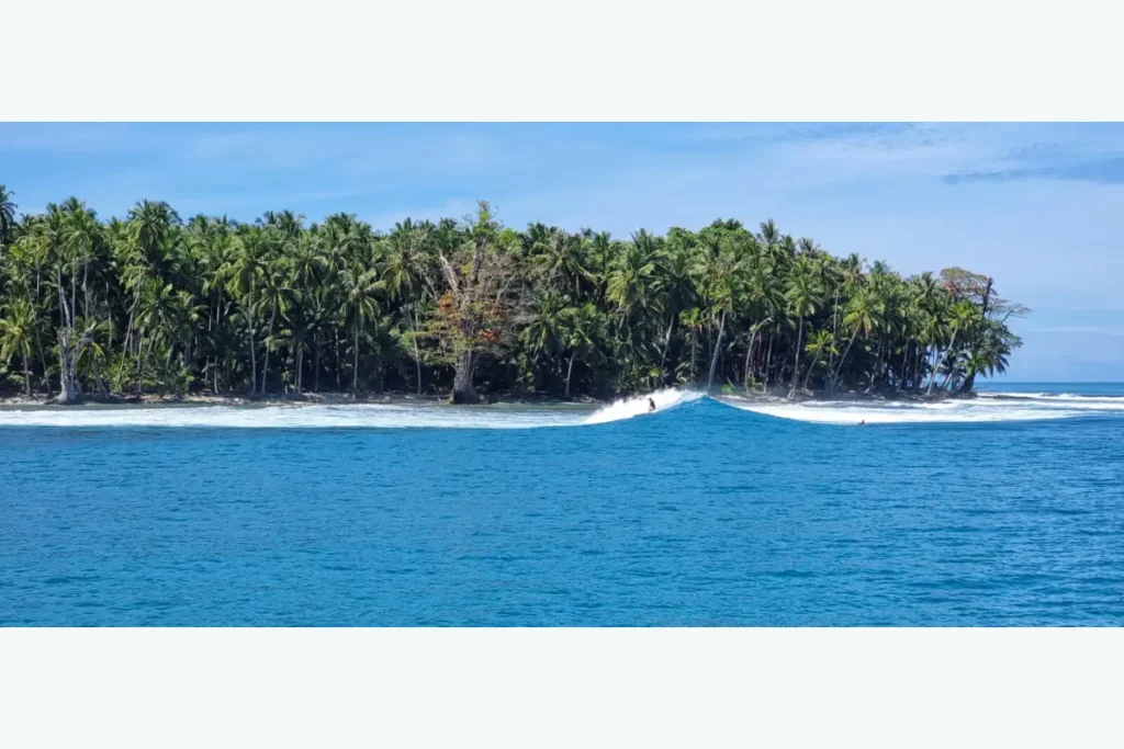ヤシの木が並ぶ島の前で波に乗るサーファーの姿