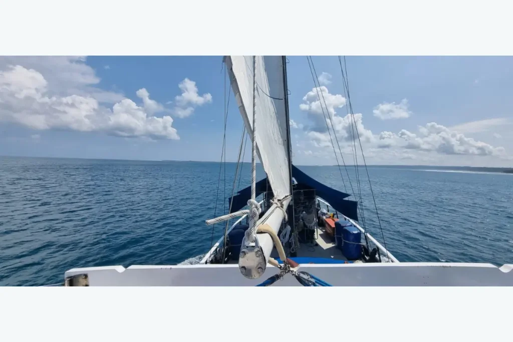 穏やかな海を進む船の船首から見た水平線と青空の景色