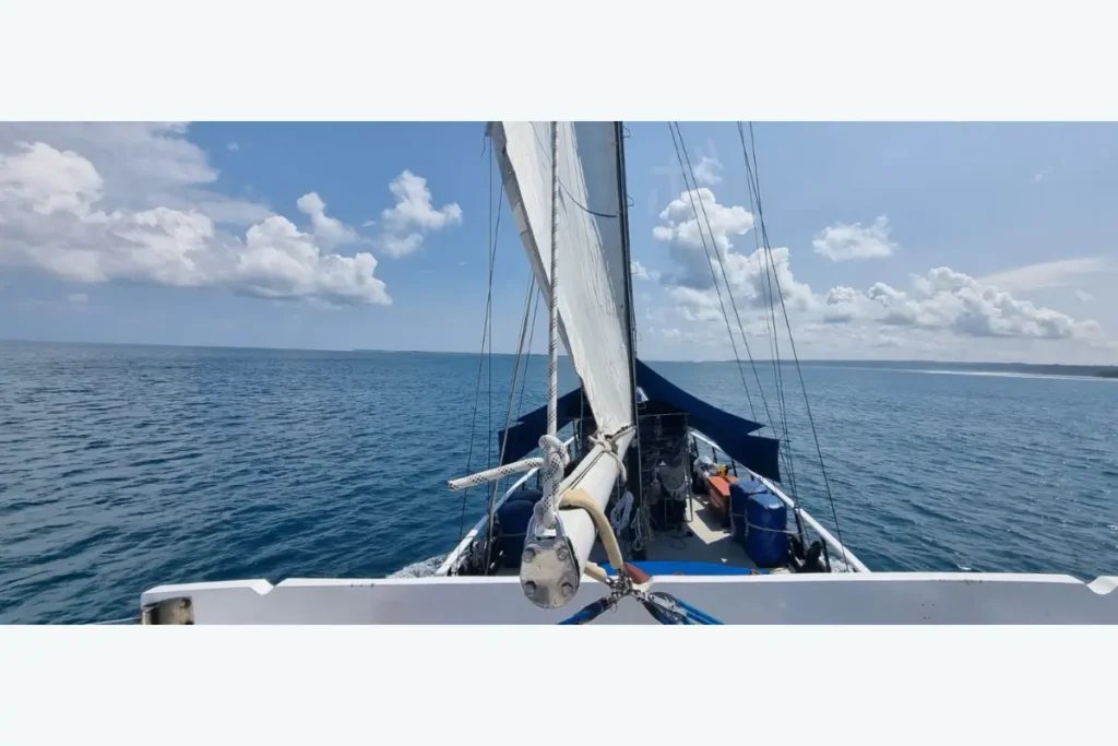 穏やかな海を進む船の船首から見た水平線と青空の景色
