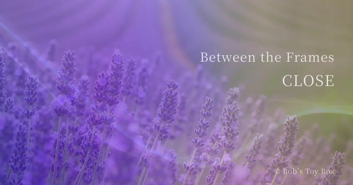 映画CLOSEの余白や距離感をイメージした、紫の花畑と柔らかな光のビジュアル