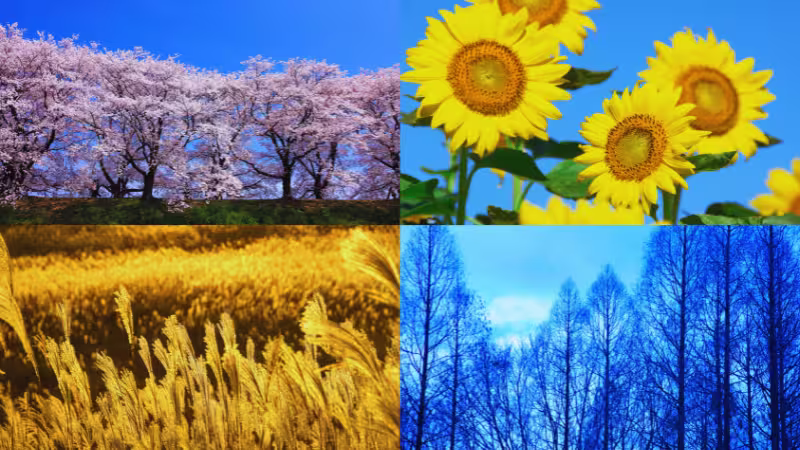 世界の秋比較,四季の風景の画像
