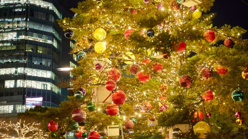 邦楽クリスマスソングの特集イメージ。ツリーやイルミネーションを背景に、日本の冬の音楽を紹介するデザイン画像。