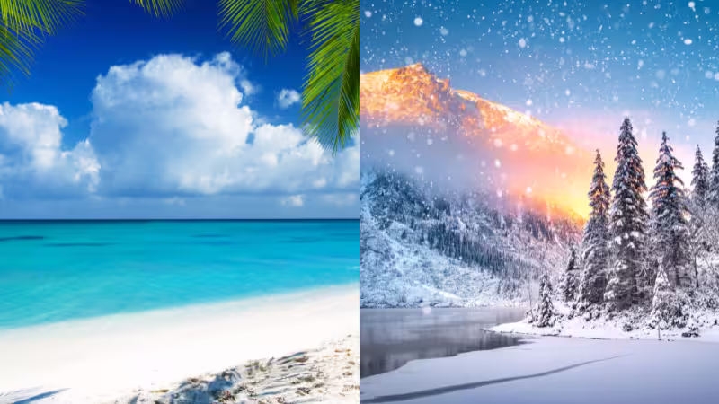夏の海と冬の森の雪景色の様子
